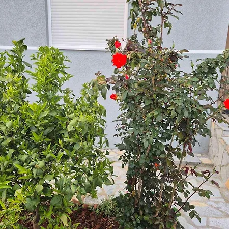 The Darling Hébergement de vacances *