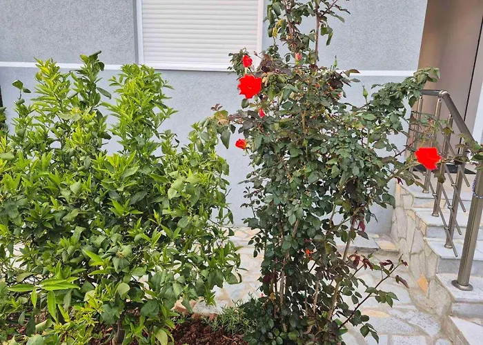 The Darling Ferienhaus *